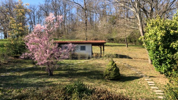Spring blossom and hill cabin - Get IT Write International