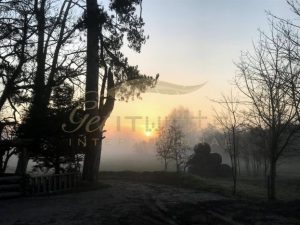 Misty path to dawn - Get IT Write International