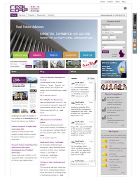 RealCorp (Interim site)